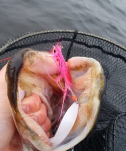 Pink Baitfish Fly